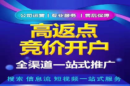 谷歌竞价广告的实时监控与调整策略——某公司经验分享